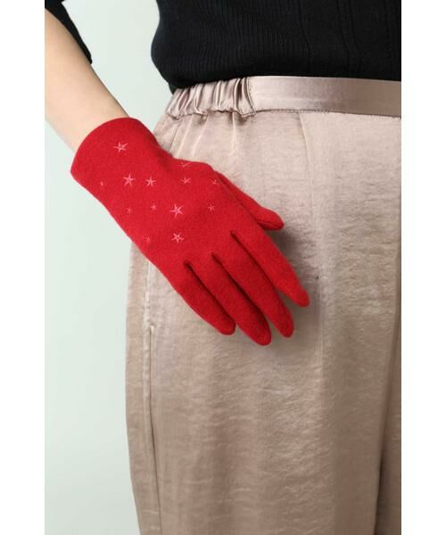 ROSE BUD / ローズ バッド 手袋 | スター刺繍デザイングローブ | 詳細1