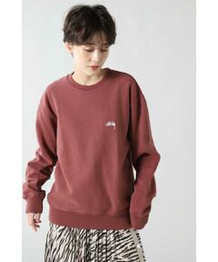 STÜSSY ロゴクルーネックトップ