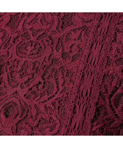 レースクラシカルワンピース ミニ丈 ひざ丈ワンピース Rose Tiara ローズティアラ ファッション通販 タカシマヤファッションスクエア