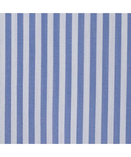 Rose Tiara / ローズティアラ シャツ・ブラウス | ダブルスリーブフレアシャツブラウス/ストライプ | 詳細12