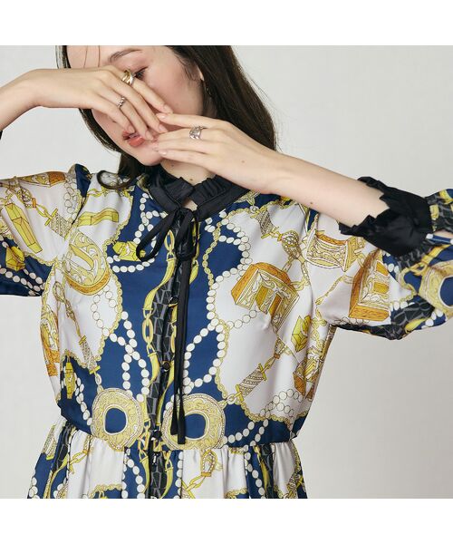 Rose Tiara / ローズティアラ ミニ丈・ひざ丈ワンピース | ジュエリープリントワンピース | 詳細11