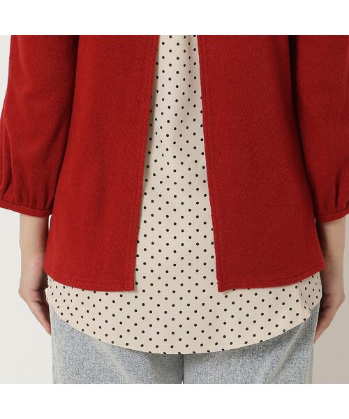 Rose Tiara / ローズティアラ カットソー | バック切替カットソー | 詳細16