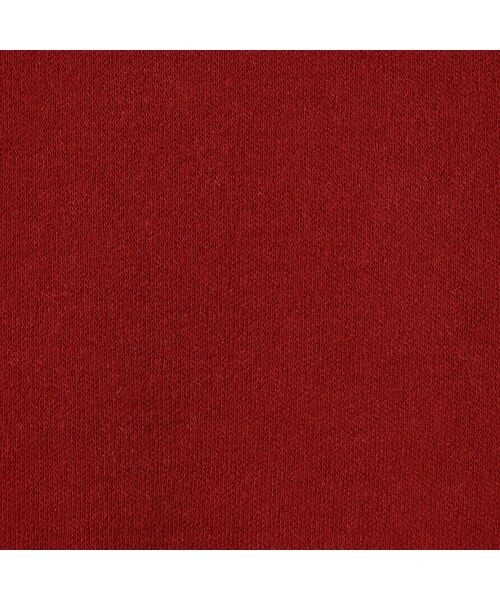 Rose Tiara / ローズティアラ カットソー | バック切替カットソー | 詳細17