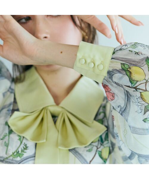 Rose Tiara / ローズティアラ シャツ・ブラウス | フラワーフレームプリントブラウス | 詳細12