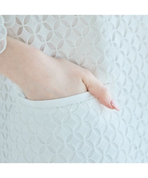 Rose Tiara / ローズティアラ ミニ丈・ひざ丈ワンピース | ラグジュアリーレースワンピース | 詳細8