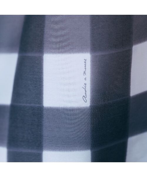 Rose Tiara / ローズティアラ シャツ・ブラウス | ビッグギンガムラッフルブラウス | 詳細8