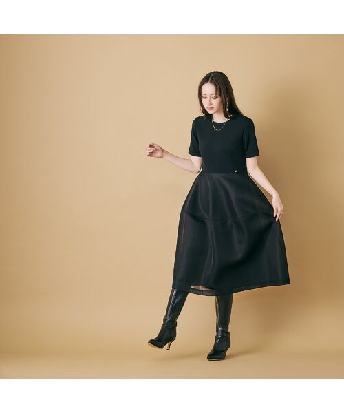 Rose Tiara / ローズティアラ ミニ丈・ひざ丈ワンピース | 【M-StyleLuxeコラボ】【人気のため追加】メッシュスカートワンピース（ブラック）