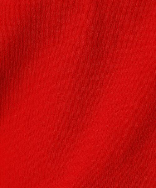 Rouge vif la cle / ルージュ・ヴィフ ラクレ ニット・セーター | 【SOMETHING/サムシング】コットンニットプルオーバー / ラグラン【WE | 詳細17