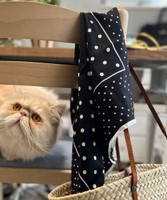 Rouge vif la cle / ルージュ・ヴィフ ラクレ バンダナ・スカーフ | 【manipuri/マニプリ】ジオメドット　スカーフ　65×65