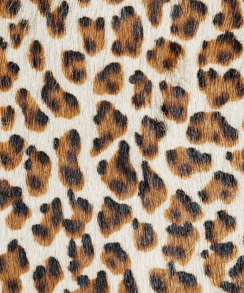 Rouge vif la cle / ルージュ・ヴィフ ラクレ 財布・コインケース・マネークリップ | 【MASTER & CO】ヘアカーフカードケース / コインケース / 本革 / | 詳細3