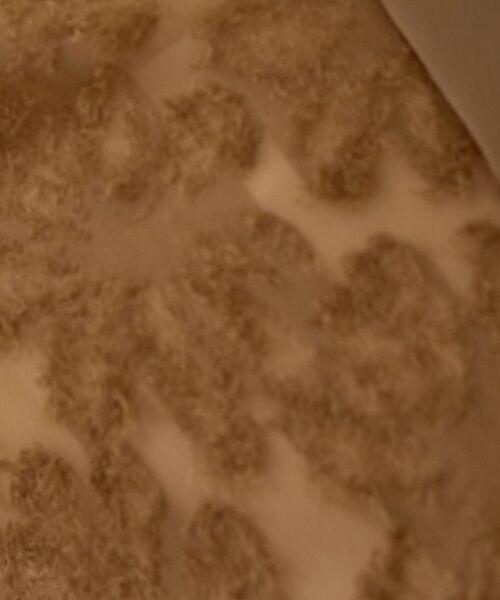 Rouge vif la cle / ルージュ・ヴィフ ラクレ シャツ・ブラウス | 【一部店舗限定】フラワーフェザーアメスリブラウス | 詳細15