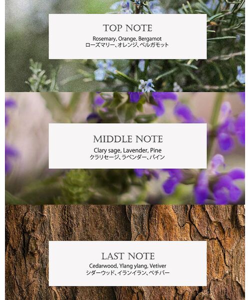 Rouge vif la cle / ルージュ・ヴィフ ラクレ コスメ | 【FIT YOUR SKIN/フィットユアスキン】ディープモイスチャークレンジン | 詳細10