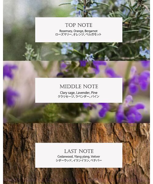 Rouge vif la cle / ルージュ・ヴィフ ラクレ コスメ | 【FIT YOUR SKIN/フィットユアスキン】フィットユアスキンディープモイ | 詳細10