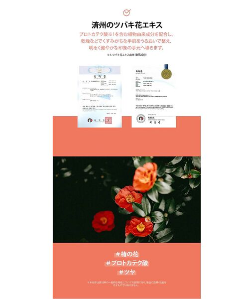 Rouge vif la cle / ルージュ・ヴィフ ラクレ コスメ | 【FIT YOUR SKIN/フィットユアスキン】ハンドセラム50ml/サボン/ | 詳細5