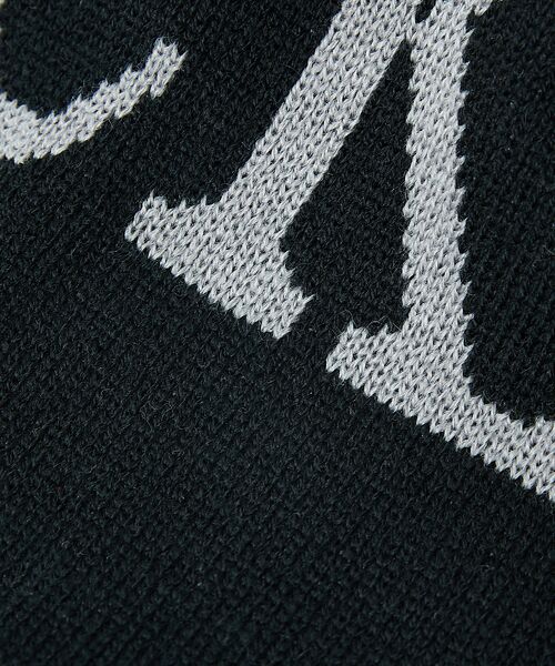 Rouge vif la cle / ルージュ・ヴィフ ラクレ ハット | 【DICKIES/ディッキーズ】BIG LOGO BEANIE/ビッグロゴビーニ | 詳細14