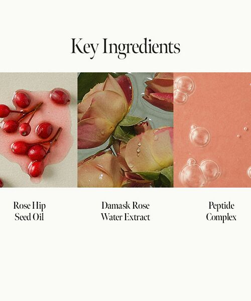 Rouge vif la cle / ルージュ・ヴィフ ラクレ バスグッズ | 【一部店舗限定】【anillo/アニーロ】Rosy Night Repair H | 詳細6