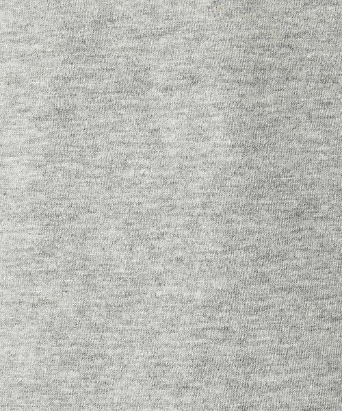 Rouge vif la cle / ルージュ・ヴィフ ラクレ Tシャツ | 【REMI RELIEF / レミレリーフ】LW加工T "ILLINOIS" / | 詳細4