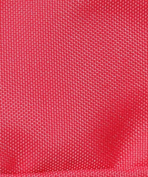 Rouge vif la cle / ルージュ・ヴィフ ラクレ ポーチ | 【CHUMS / チャムス】Recycle Dual Soft Case / リ | 詳細14