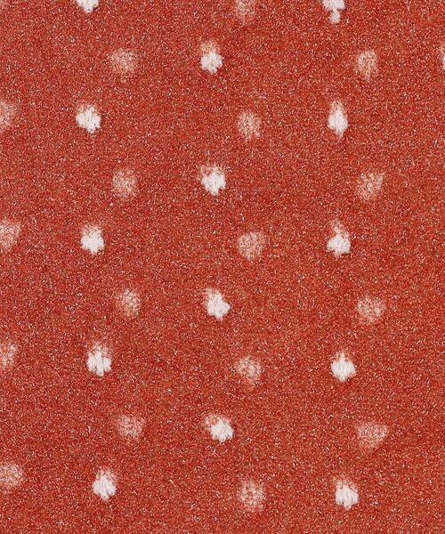 Rouge vif la cle / ルージュ・ヴィフ ラクレ ソックス | 【YUQRI/ユクリ】DotVeil/靴下/フェミニン/ロマンティック/ギフト【 | 詳細5