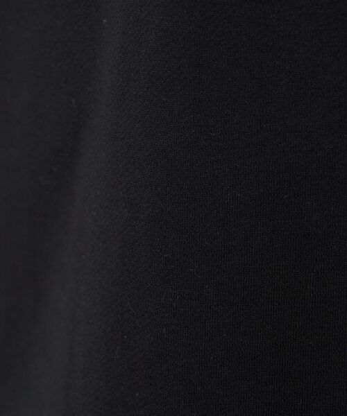 russet / ラシット カットソー | ハイゲージテリーTシャツ | 詳細6