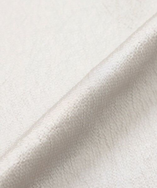 SANYO ESSENTIALS / サンヨーエッセンシャルズ ロング・マキシ丈スカート | サテンフレアスカート | 詳細6