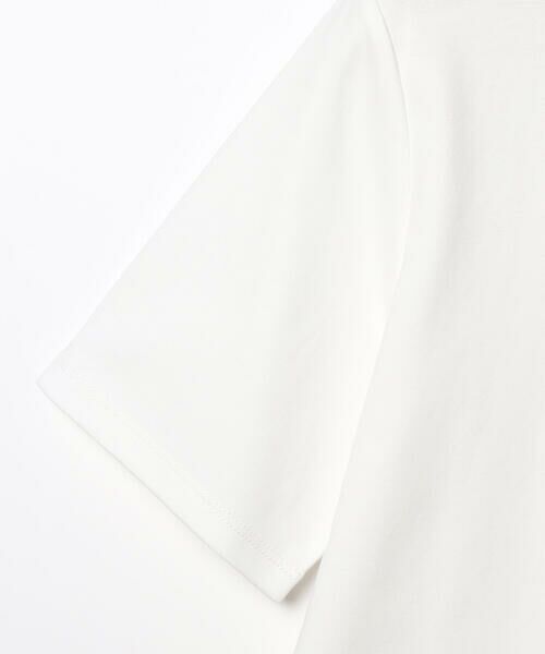 SCAPA Lサイズ / スキャパエルサイズ カットソー | エンブロコンビジャージプルオーバーカットソー | 詳細11