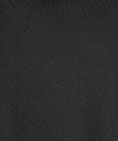 SEASON STYLE LAB / シーズンスタイルラボ ニット・セーター | シアーラメタートルネックセーター | 詳細1
