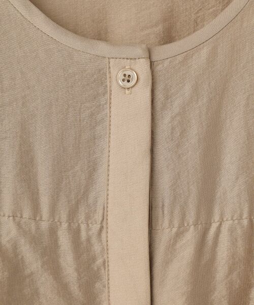 SEASON STYLE LAB / シーズンスタイルラボ シャツ・ブラウス | シアーフリルブラウス | 詳細4