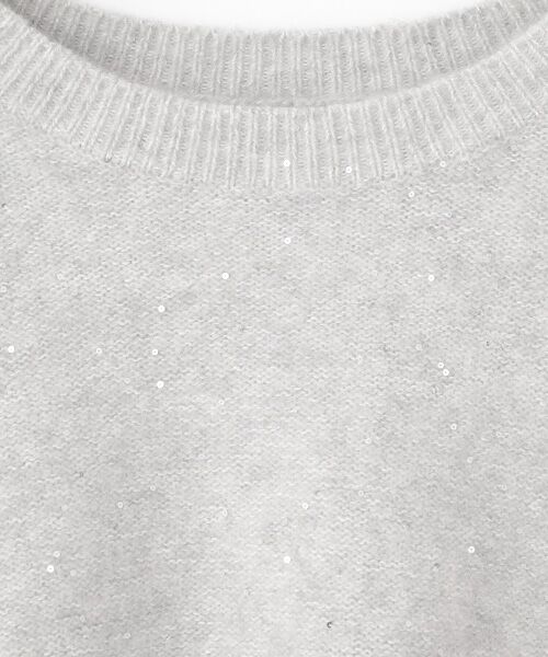 SEASON STYLE LAB / シーズンスタイルラボ ニット・セーター | スパンコールプルオーバー | 詳細1