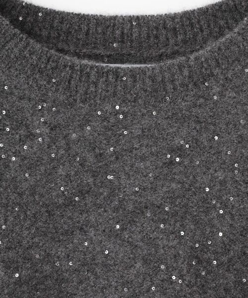 SEASON STYLE LAB / シーズンスタイルラボ ニット・セーター | スパンコールプルオーバー | 詳細2