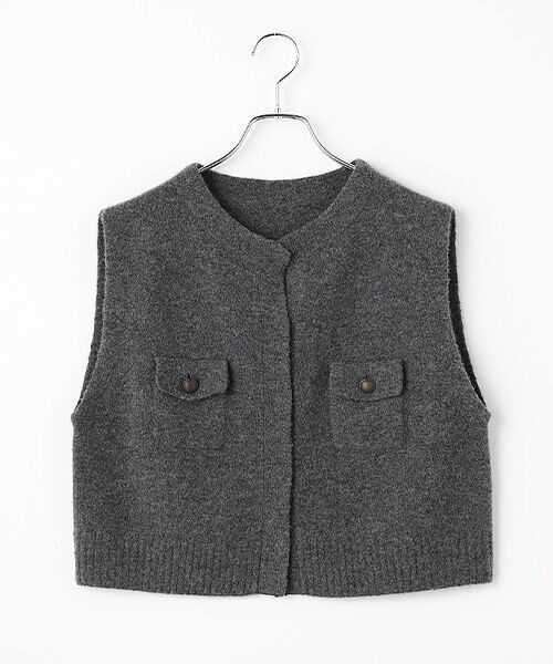 SEASON STYLE LAB / シーズンスタイルラボ ニット・セーター | カシミヤショートジレベスト（グレー）