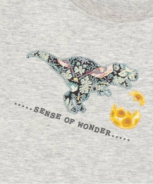 sense of wonder / センス オブ ワンダー Tシャツ | リバティ恐竜たまご長袖Tシャツ | 詳細3