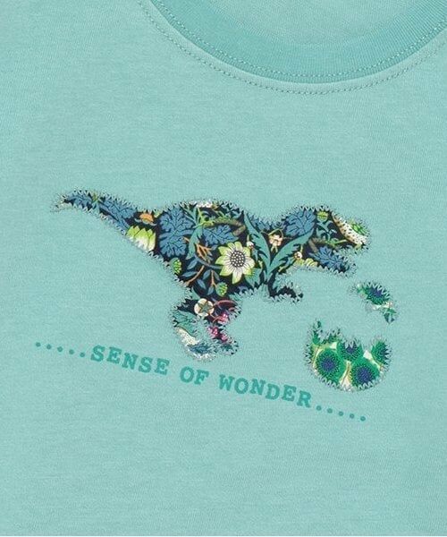 sense of wonder / センス オブ ワンダー Tシャツ | リバティ恐竜たまご長袖Tシャツ | 詳細4