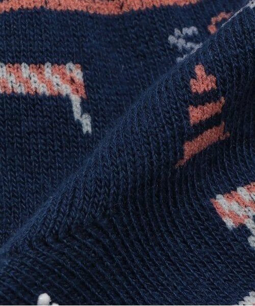 sense of wonder / センス オブ ワンダー ソックス | Boy's車ソックス | 詳細4