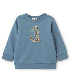 sense of wonder / センス オブ ワンダー スウェット | リバティファブリックナンバートレーナー