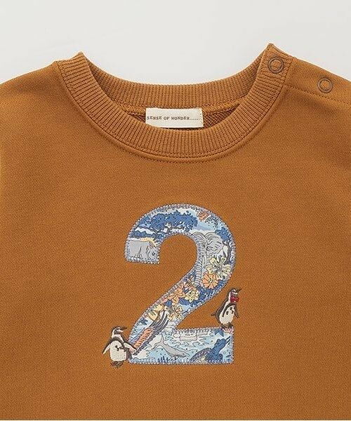 sense of wonder / センス オブ ワンダー スウェット | リバティファブリックナンバートレーナー | 詳細2