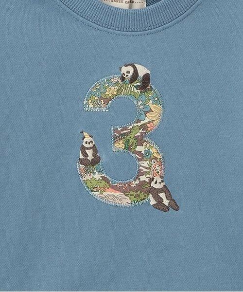 sense of wonder / センス オブ ワンダー スウェット | リバティファブリックナンバートレーナー | 詳細3