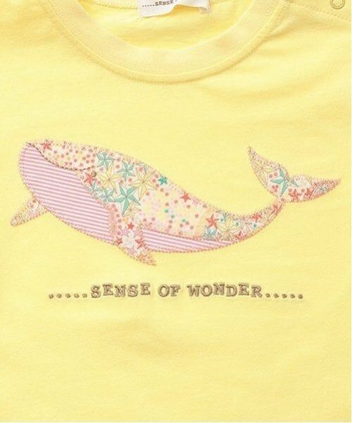 sense of wonder / センス オブ ワンダー Tシャツ | 接触冷感アデラジャクジラTシャツ | 詳細4