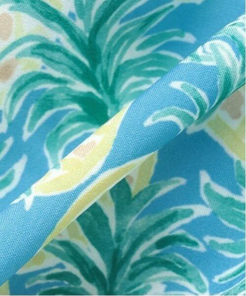 sense of wonder / センス オブ ワンダー 水着・スイムグッズ | 【SWIM】パイナップルBOY’ｓ水着 | 詳細6