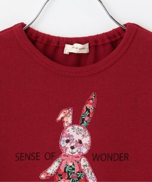sense of wonder / センス オブ ワンダー Tシャツ | リバティウサギプルオーバー | 詳細2