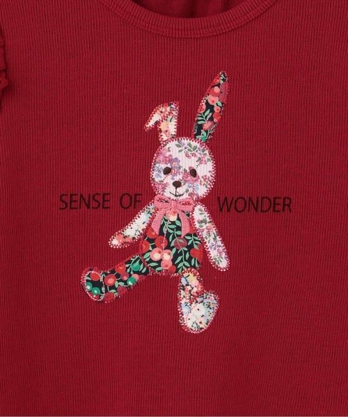 sense of wonder / センス オブ ワンダー Tシャツ | リバティウサギプルオーバー | 詳細5