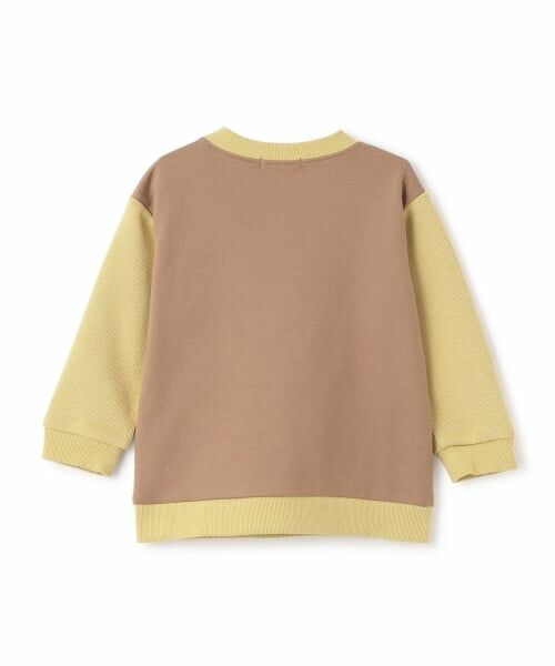 sense of wonder / センス オブ ワンダー スウェット | リバティコリアンダー恐竜トレーナー | 詳細1