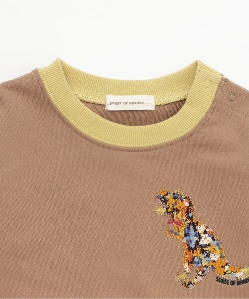 sense of wonder / センス オブ ワンダー スウェット | リバティコリアンダー恐竜トレーナー | 詳細2