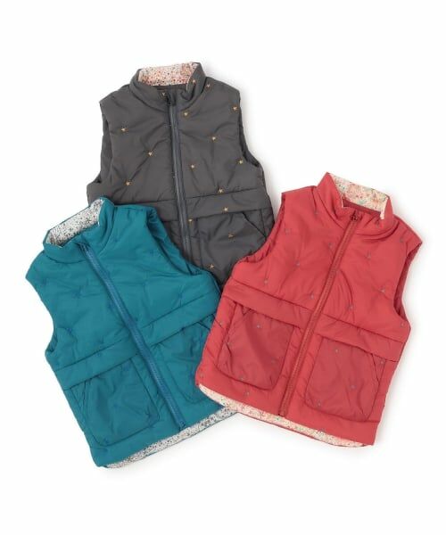 sense of wonder / センス オブ ワンダー ダウンジャケット・ベスト | リバティアデラジャ星刺しゅうベスト | 詳細8