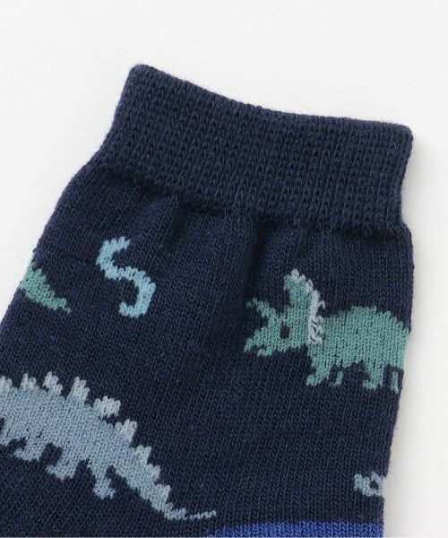 sense of wonder / センス オブ ワンダー ソックス | 恐竜ソックス【日本製】 | 詳細1