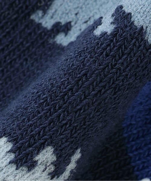 sense of wonder / センス オブ ワンダー ソックス | 恐竜ソックス【日本製】 | 詳細4