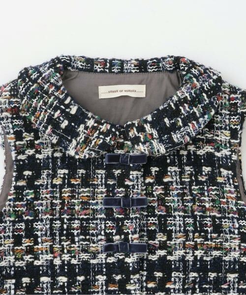 sense of wonder / センス オブ ワンダー ダウンジャケット・ベスト | ロービングチェックベスト | 詳細2