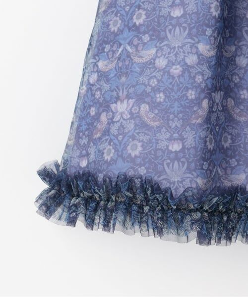 sense of wonder / センス オブ ワンダー ミニ丈・ひざ丈ワンピース | リバティオーガンジードレス | 詳細3