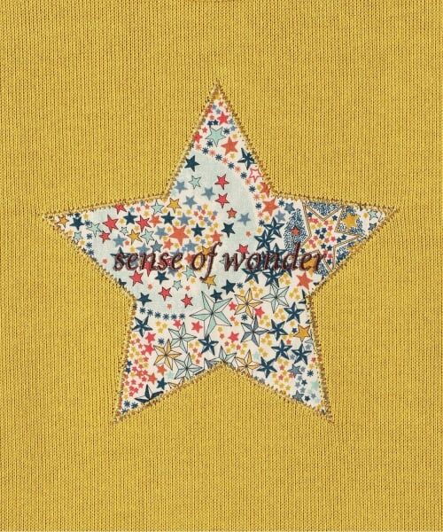 sense of wonder / センス オブ ワンダー ニット・セーター | レイヤード風トレーナー | 詳細3