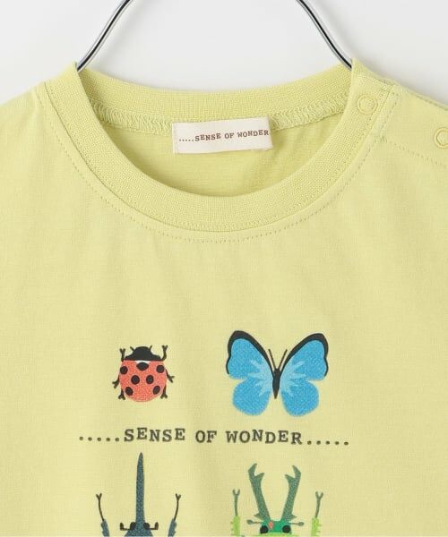 sense of wonder / センス オブ ワンダー Tシャツ | 接触冷感昆虫プリント半袖Ｔシャツ | 詳細2